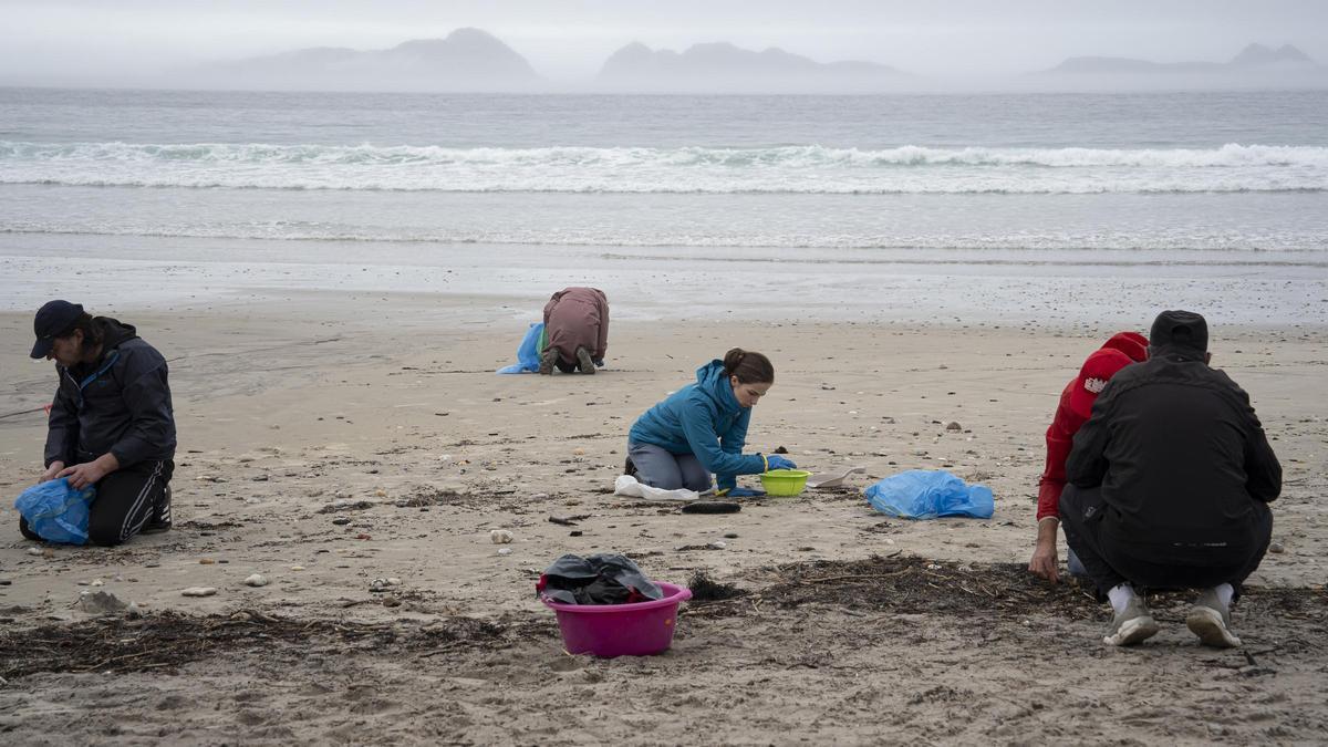 Voluntarios recogiendo pellets en la playas de Galicia.