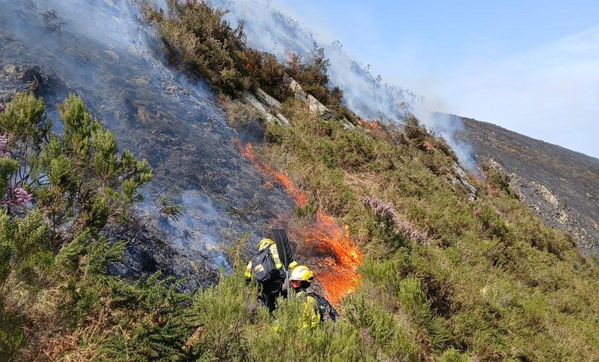 Los bomberos del SEPA y de la Brif de Tineo en el incendio de Antoñana en Belmonte de Miranda.