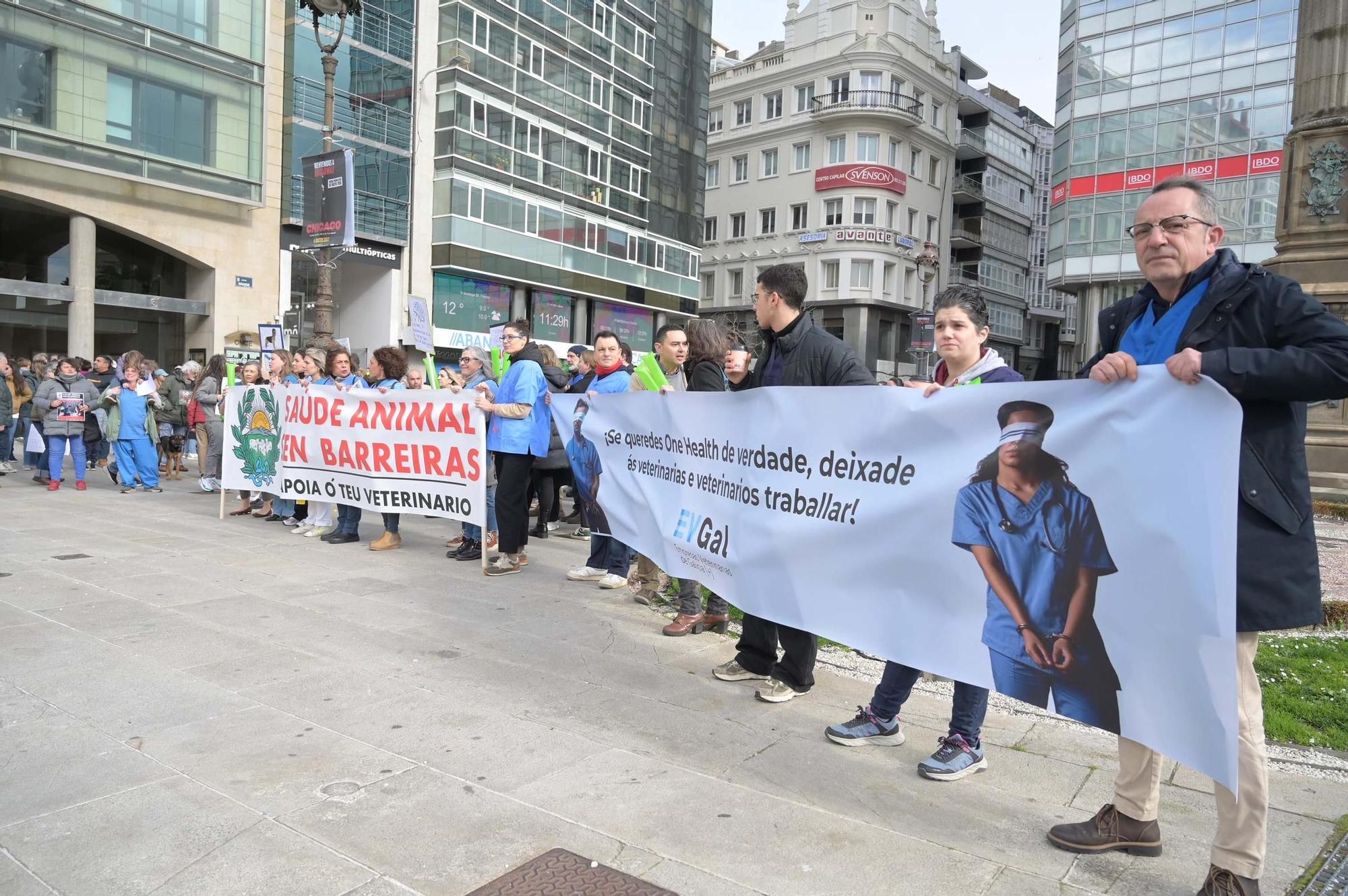 Protesta de veterinarios contra el nuevo decreto del Gobierno que regula el uso de medicamentos