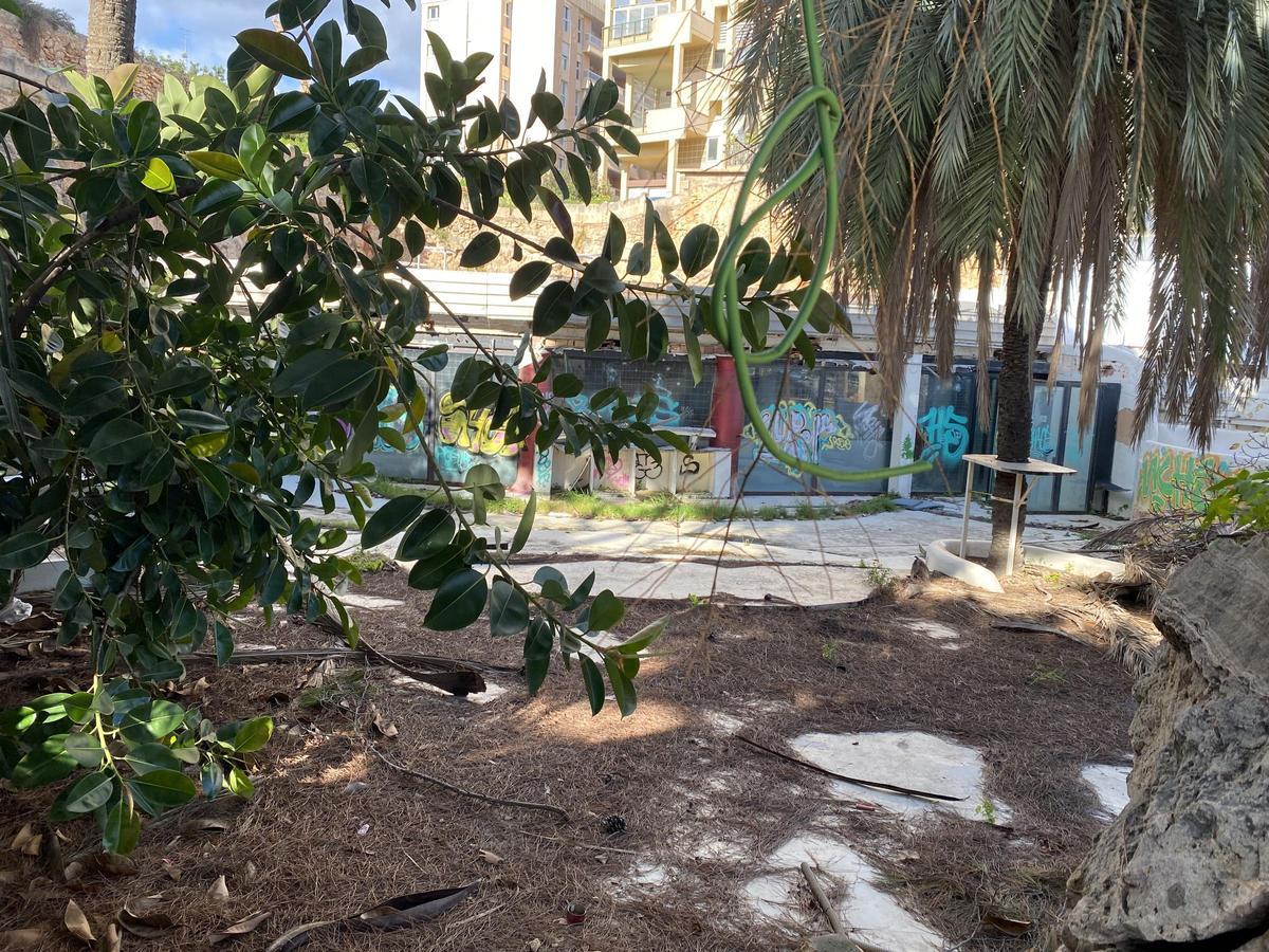 El restaurante japonés Roka recuperará los terrenos de la antigua discoteca Pachá, hoy en ruinas