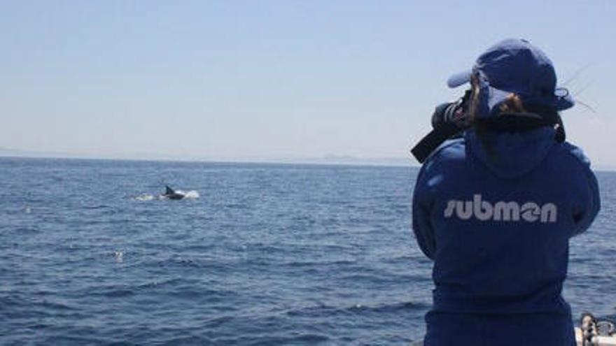 Campanya de seguiment d&#039;hivern del dofí mular al Parc Natural del Cap de Creus