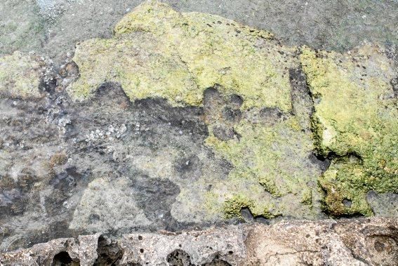 Auf Na Galera bei Can Pastilla haben Archäologen auf eigene Faust bis zu 4.500 Jahre alte Überreste ausgegraben. Im Sommer bieten sie jeden Donnerstag Führungen an.