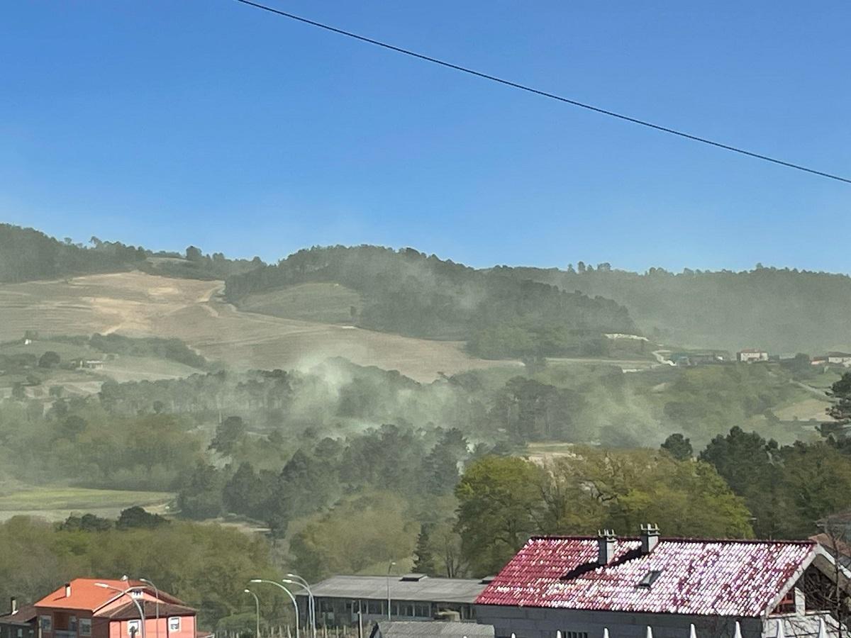 Nubes de polen en O Ribeiro, este lunes