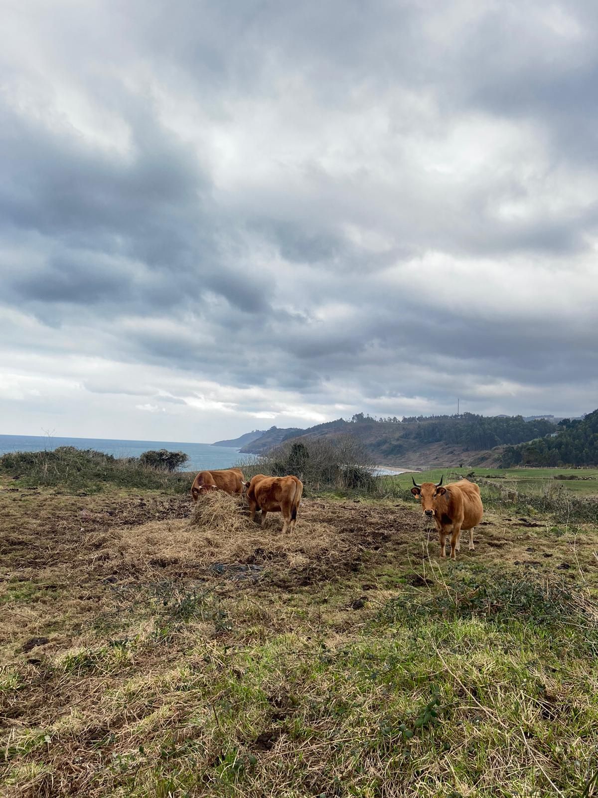 En ruta: del Arenal de Morís a La Griega