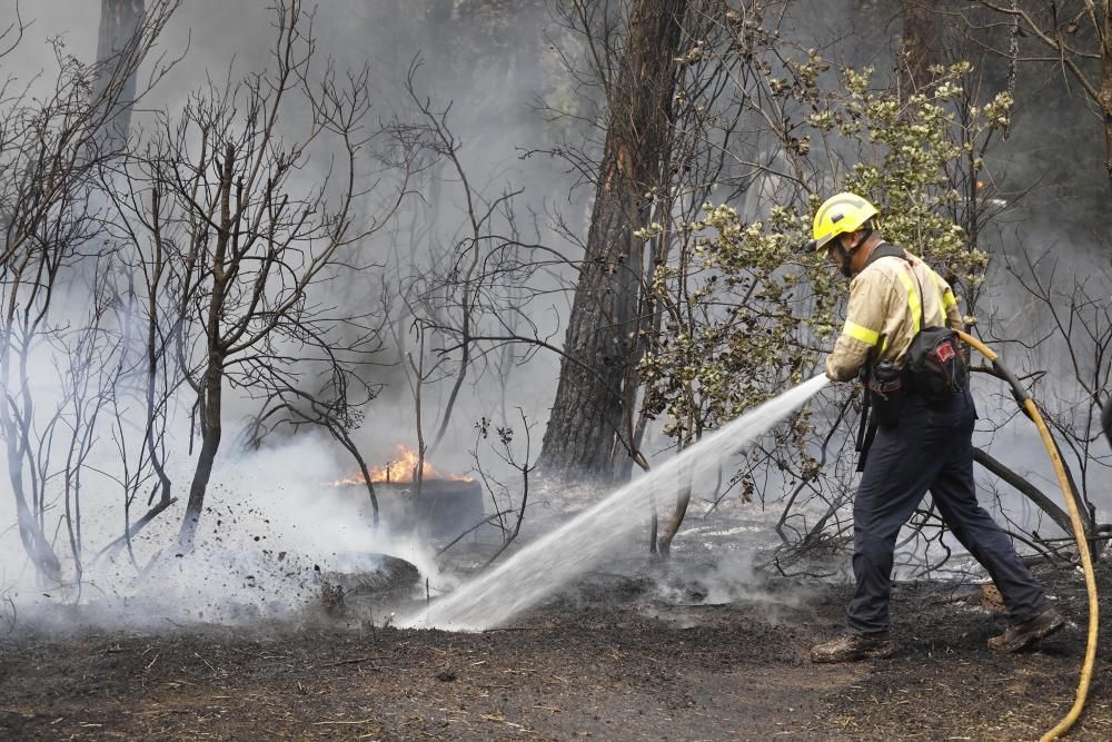 Incendi a Riudellots de la Selva