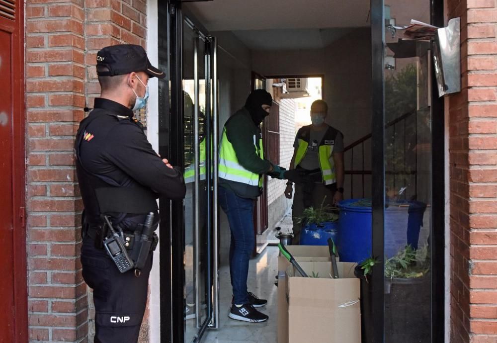 Hallan 300 plantas de marihuana en una casa del barrio del Infante de Murcia