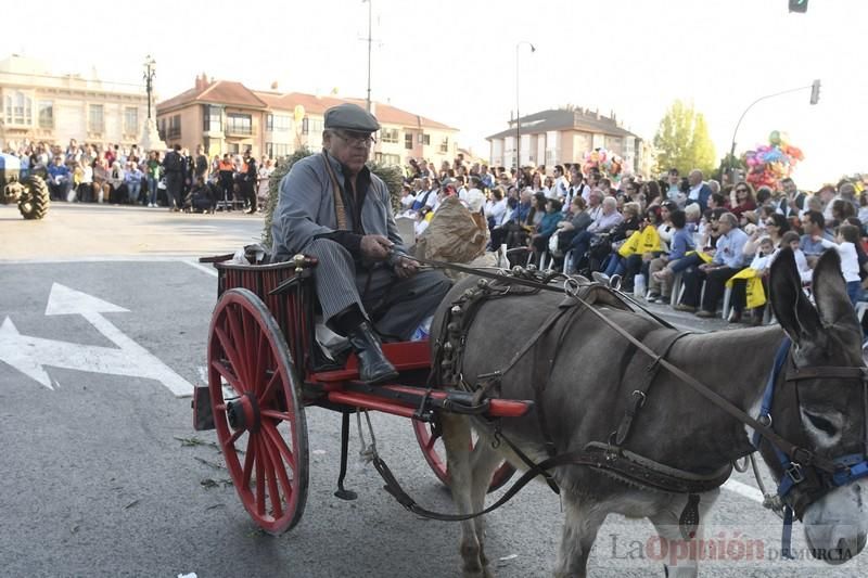 Desfile del Bando de la Huerta (II)