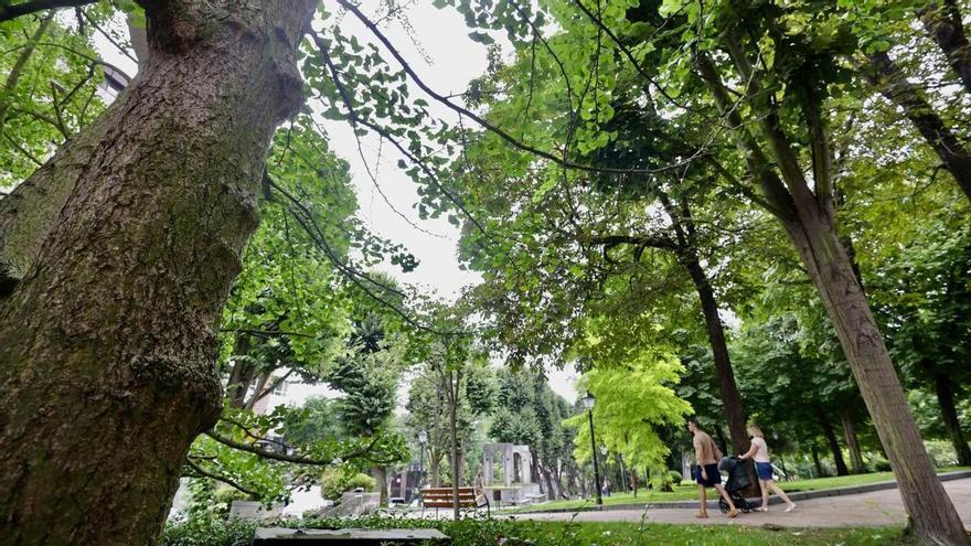 El gran pulmón verde de Oviedo a examen: cientos de árboles serán supervisados a fondo por seguridad