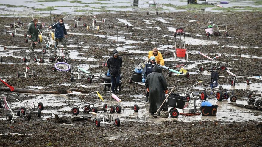 La temperatura del agua en la ría no deja de subir y supera su marca histórica: 16,6 grados de media