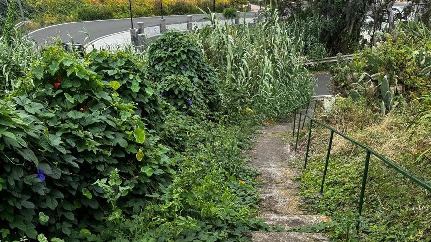 Vecinos del barrio de El Risco de Firgas continúan quejándose de la falta de agua en sus viviendas