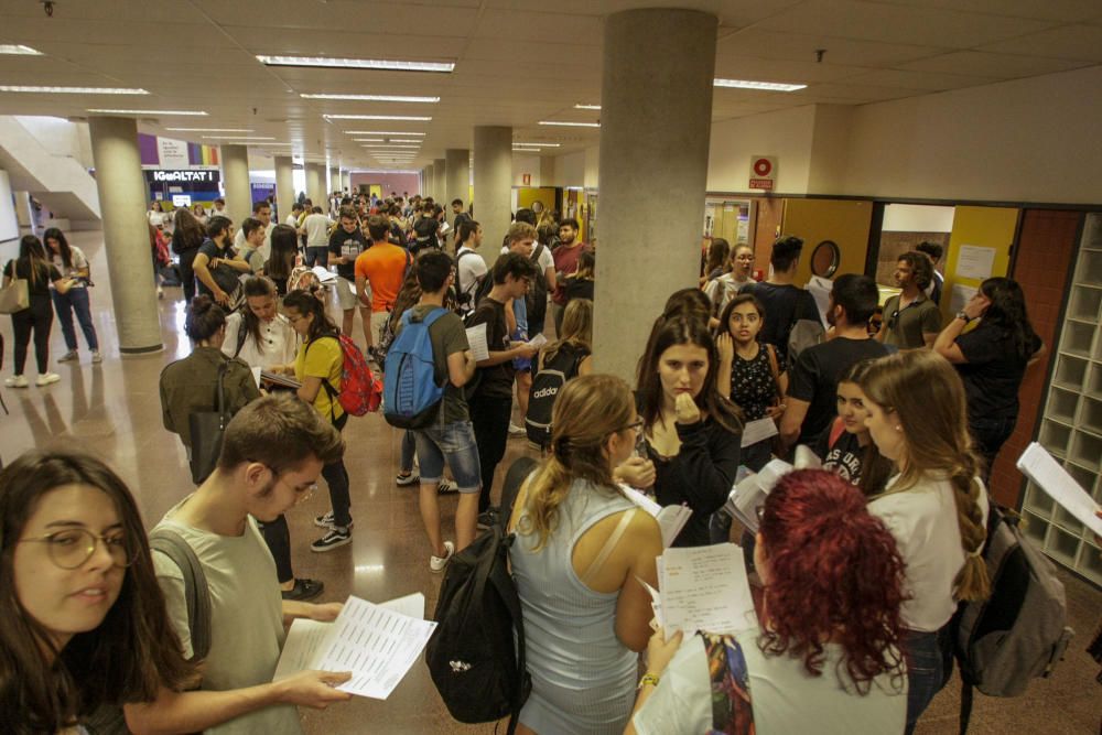 En la UMH durante estos días van a realizar las Pruebas de Acceso a la Universidad un total de 3.498 alumnos.