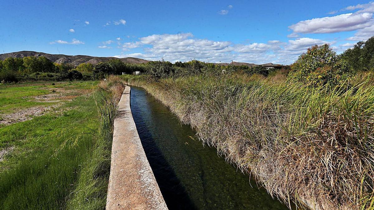 Zona agrícola junto al Túria, en el término de Pedralba, por donde iba a discurrir la vía.  | P. CALABUIG