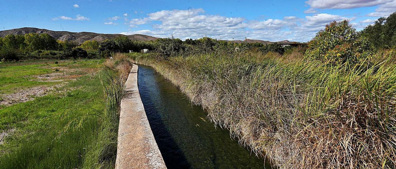 Zona agrícola junto al Túria, en el término de Pedralba, por donde iba a discurrir la vía.  | P. CALABUIG