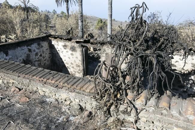 INCENDIO EN LA PALMA