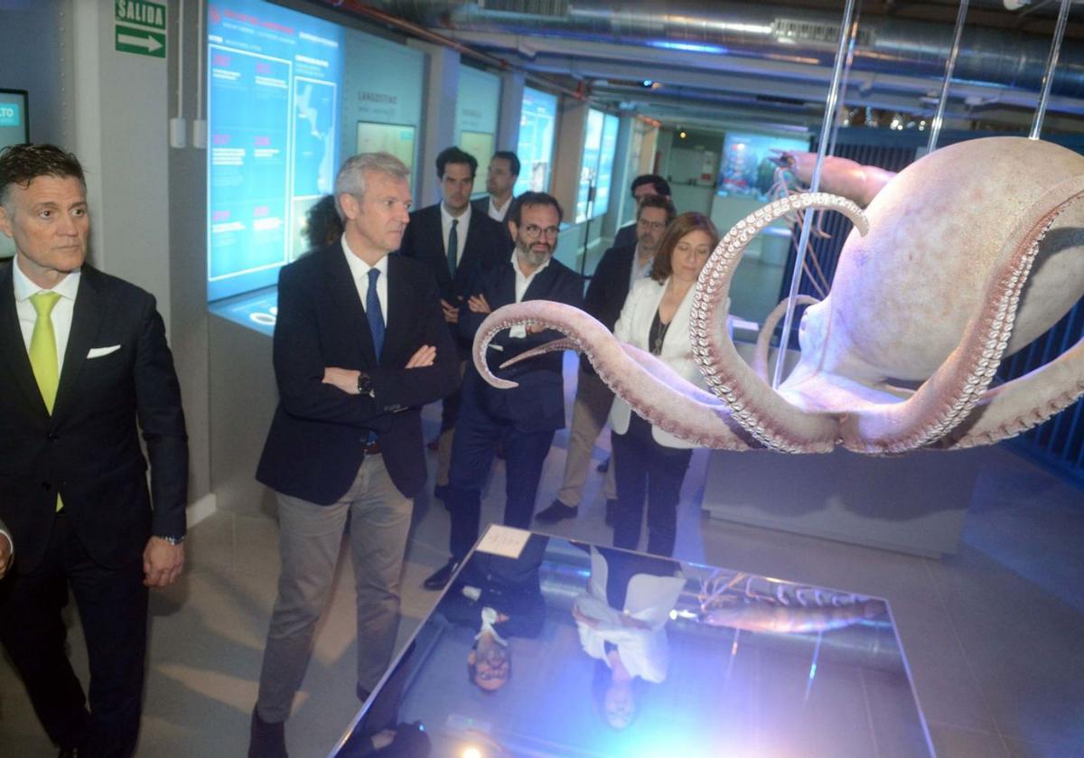 José María Benavent, Alfonso Rueda, Ignacio González y Ángeles Vázquez, ayer en el centro de investigación Biomarine Center de Pescanova en O Grove.   | // NOÉ PARGA