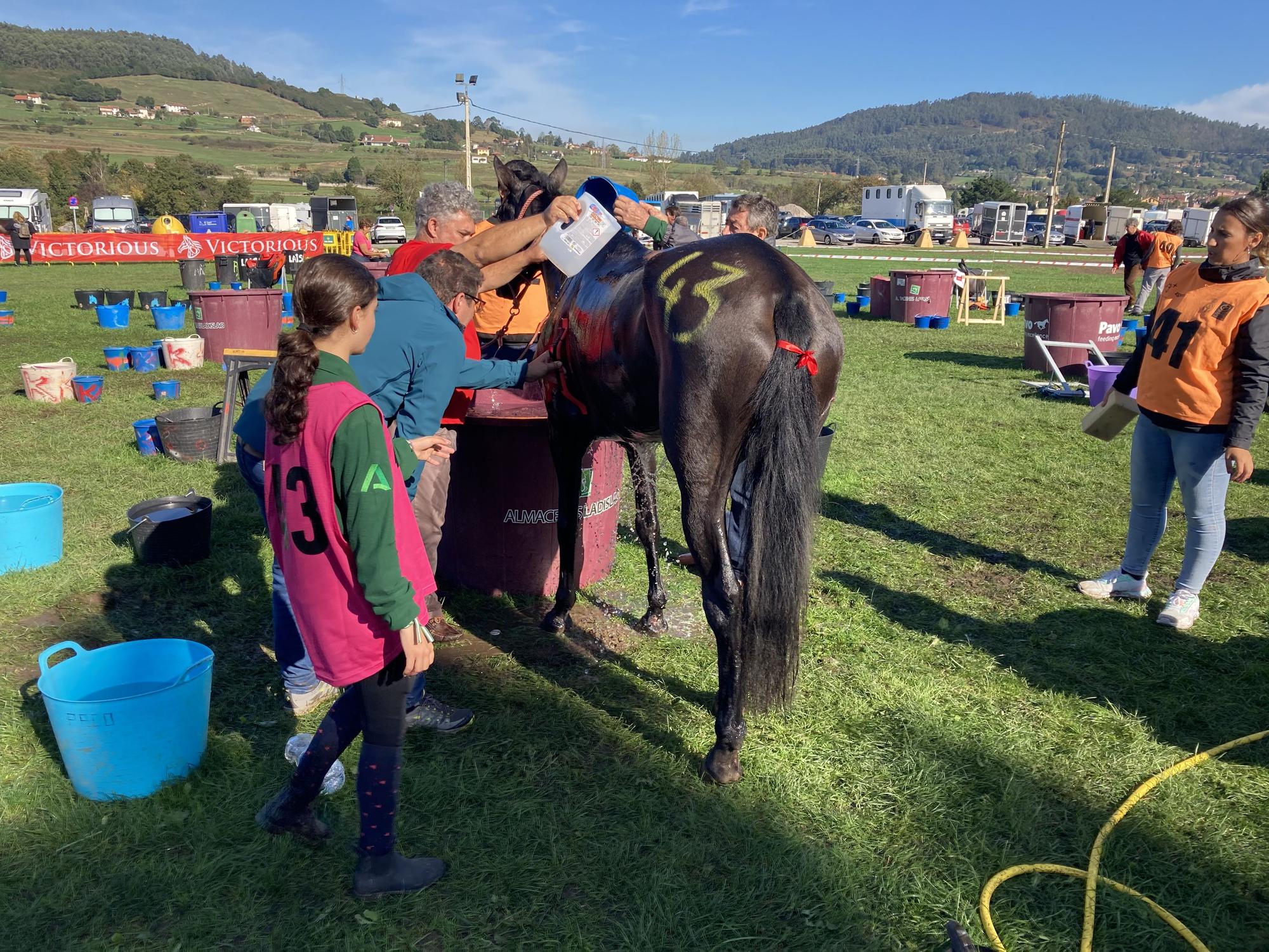 Llanera se llena de caballos con el campeonato de España de Raid Interautonomías