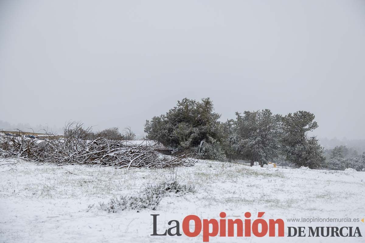 Nieve en el Noroeste