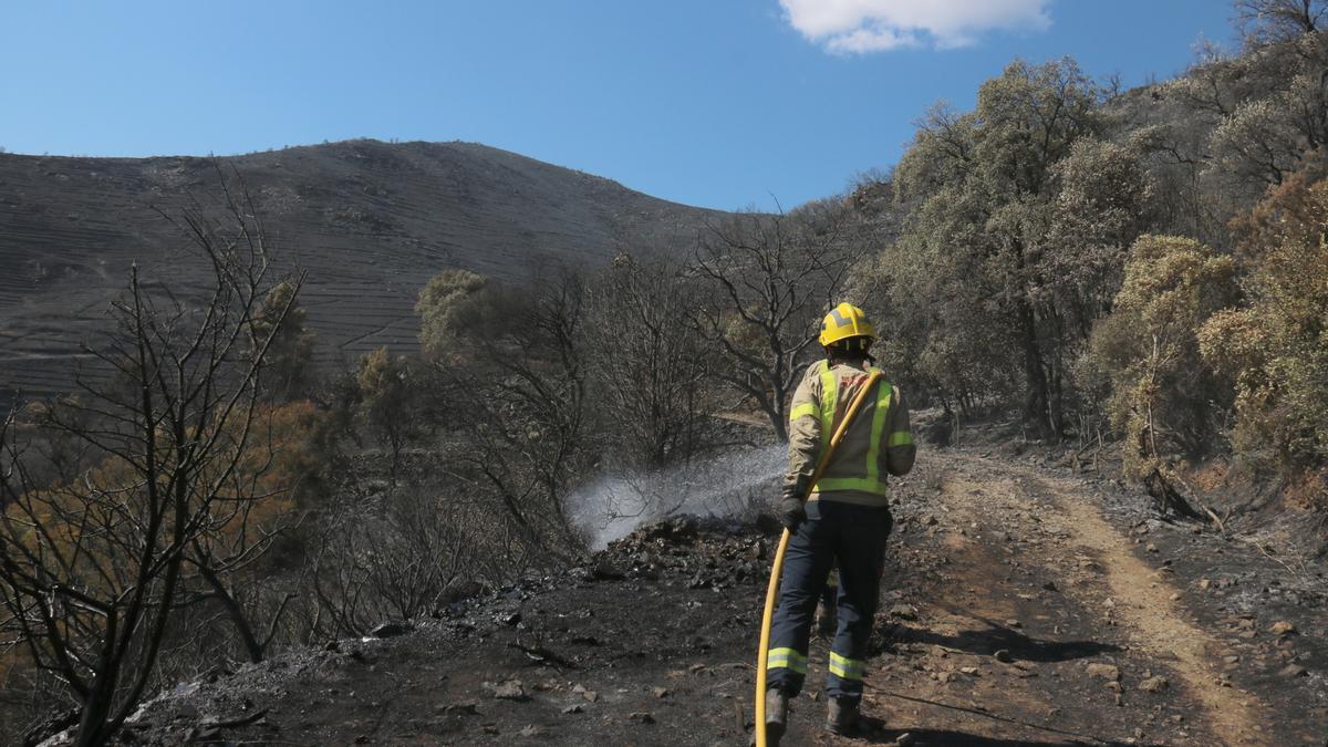 Dos bombers treballant en l&#039;incendi de Llançà aquest diumenge 18 de juliol de 2021