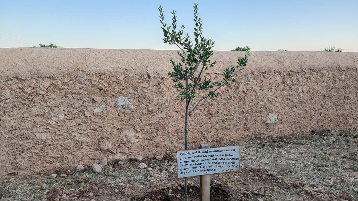Son Sardina rinde homenaje al pueblo palestino