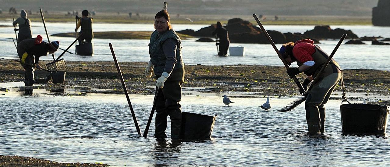 Mariscadoras de la cofradía San Martiño en la zona de Castrelo (Cambados). |   // IÑAKI ABELLA