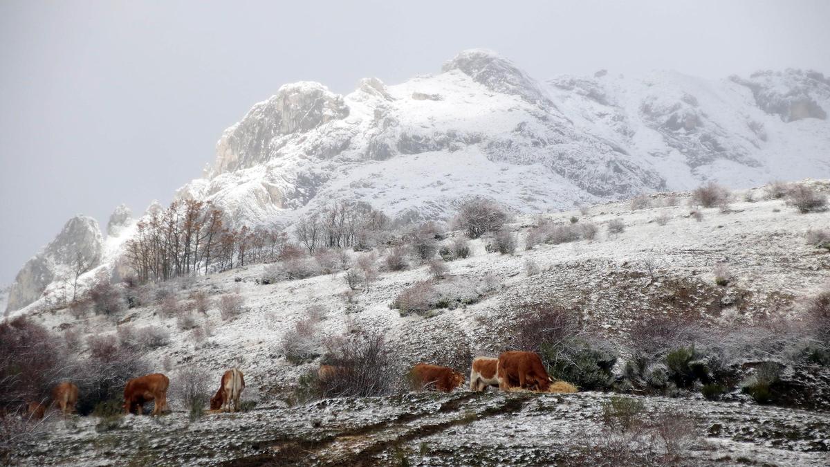 Nieve en la montaña leonesa.