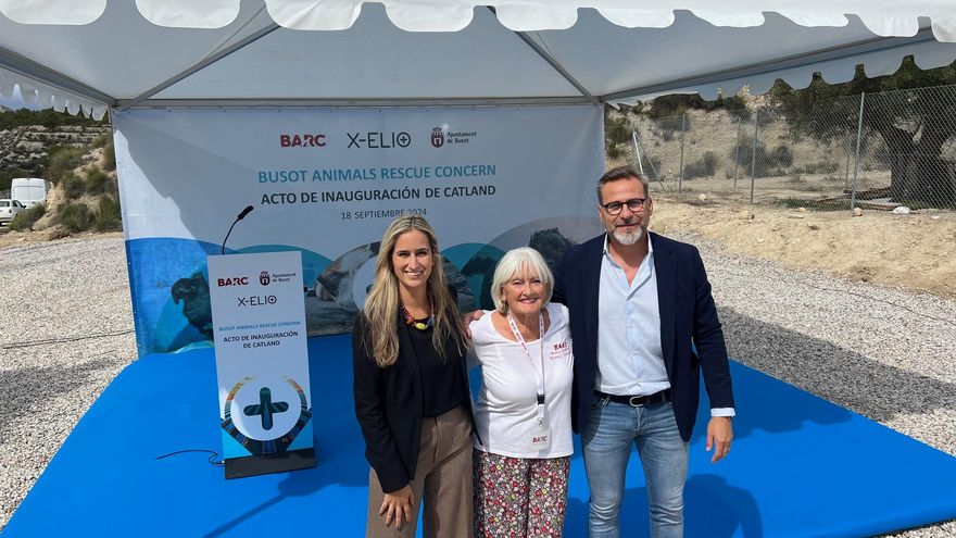 X-ELIO apoya el crecimiento del refugio de animales de Busot con la creación de nuevos espacios