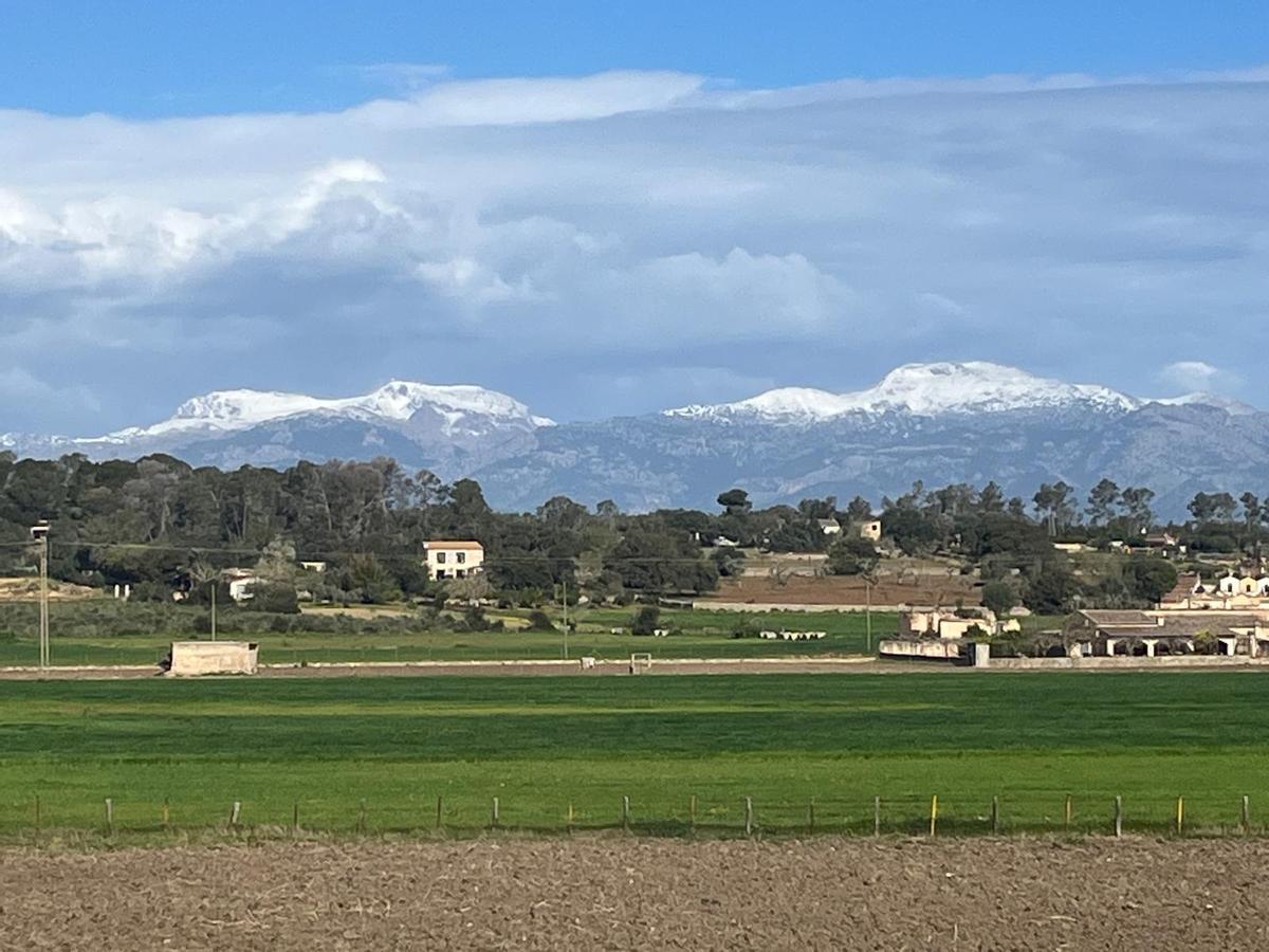 La Serra de Tramuntana nevada vista desde Sineu