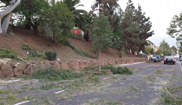 Destrozos causados por el viento en La Orotava