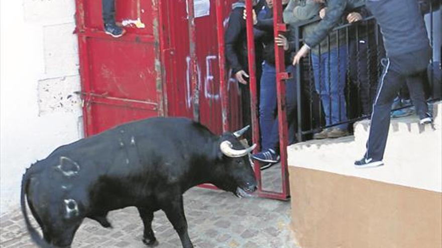 Veo inaugura un 2018 taurino marcado por la nueva norma