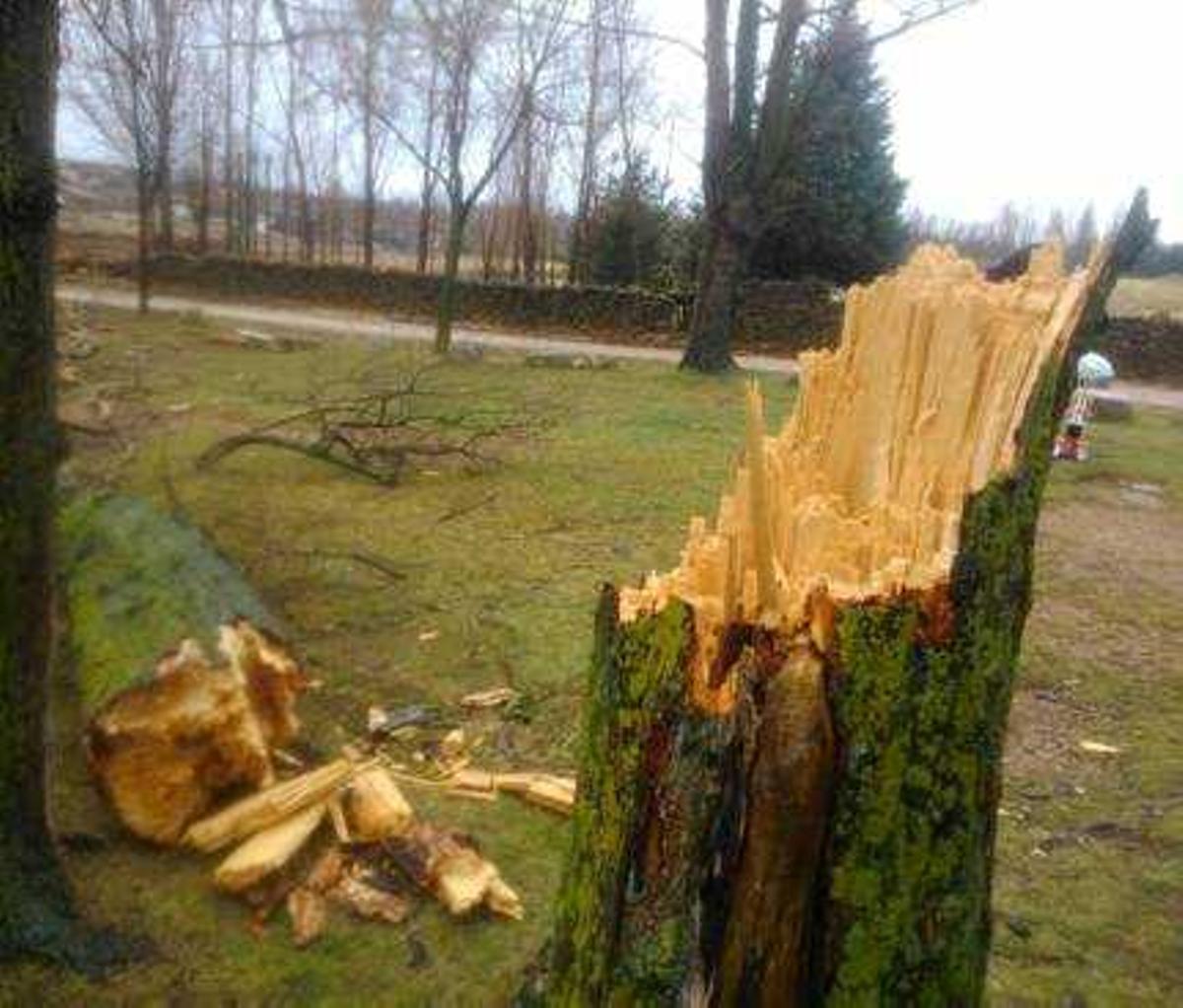 Las rachas de viento de hasta 109 km/h causan destrozos en la provincia