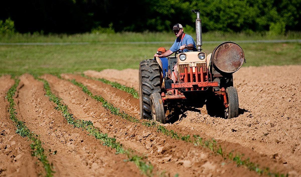 Archivo - Un agricultor en su tractor, en imagen de archivo.