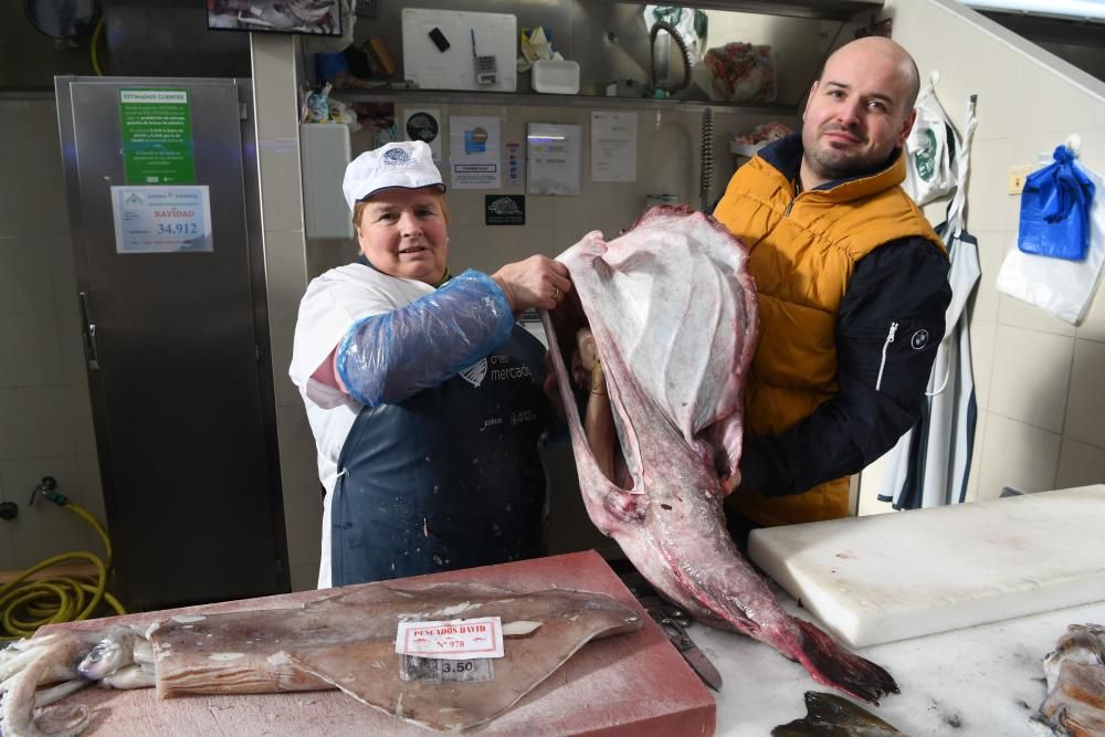 Centolla y camarón para Navidad 2019 en A Coruña