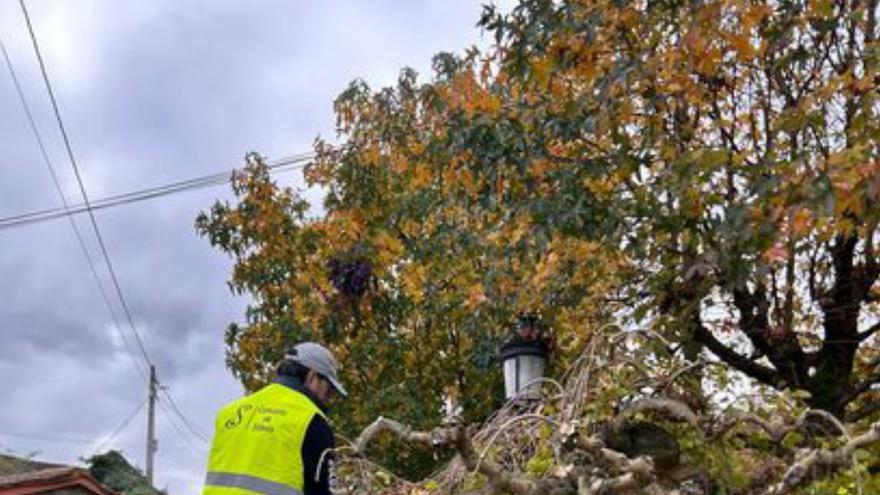 Operarios de jardinería.