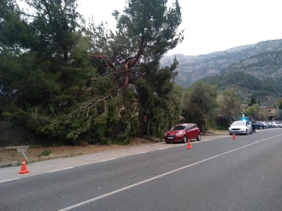 El temporal de viento provoca numerosos inciedentes en Sóller