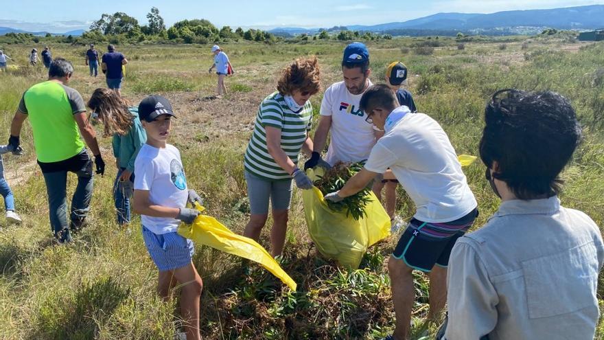 Participantes en la jornada de limpieza desplegada en la Reserva Ornitológica O Grove.