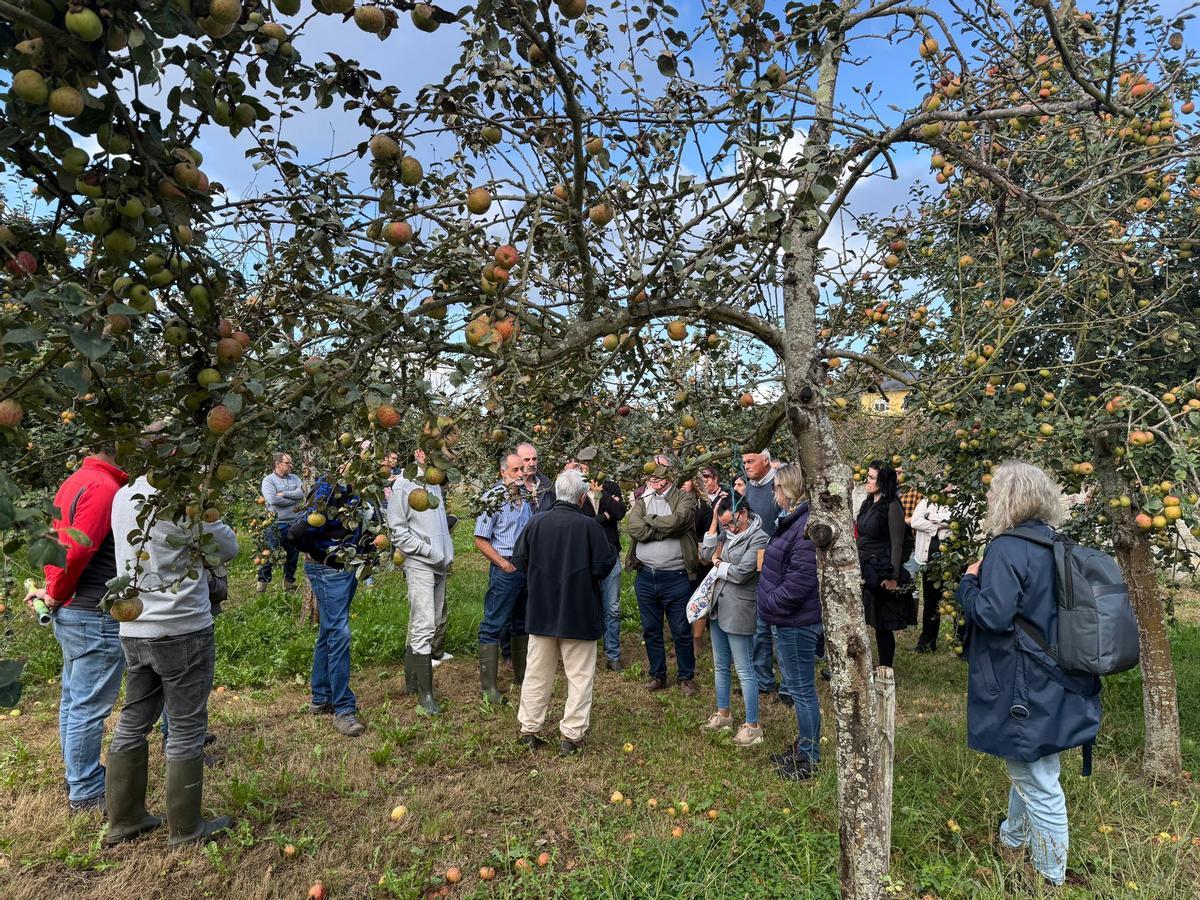 Visita a una de las fincas del Serida, en una imagen de archivo.