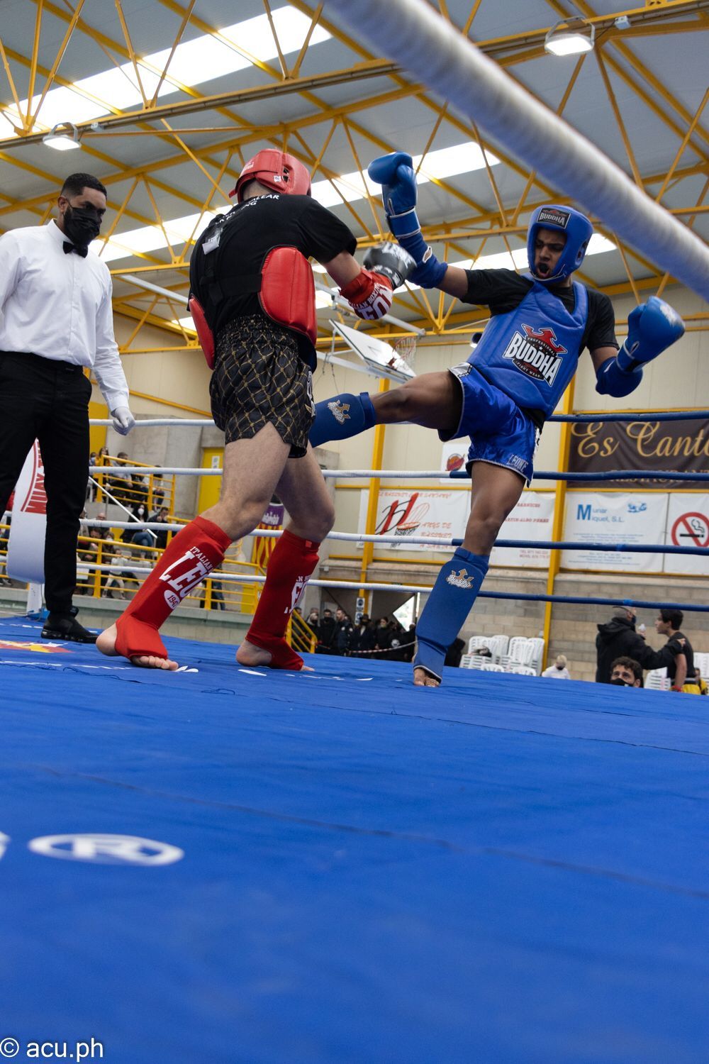 Campeonato de Baleares de kick boxing y muay thai en Santanyí