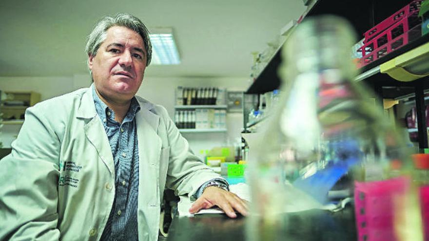 Agustín Valenzuela, en su laboratorio de Medicina en la Universidad de La Laguna.