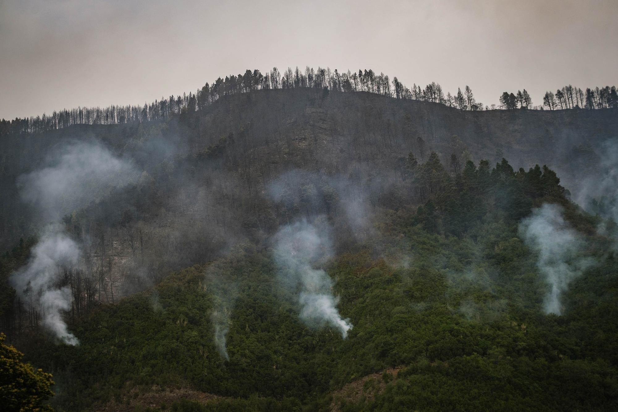 El incendio de Tenerife sigue activo