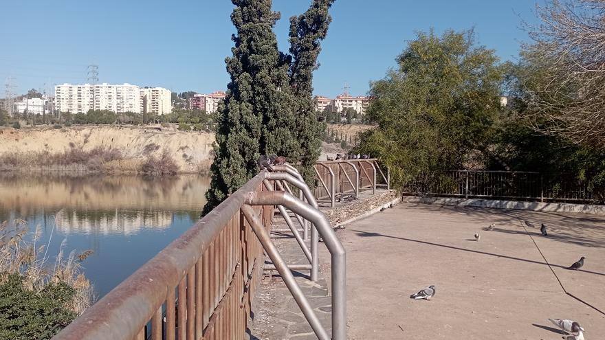 Los pájaros de Hitchcock en la Laguna de la Barrera