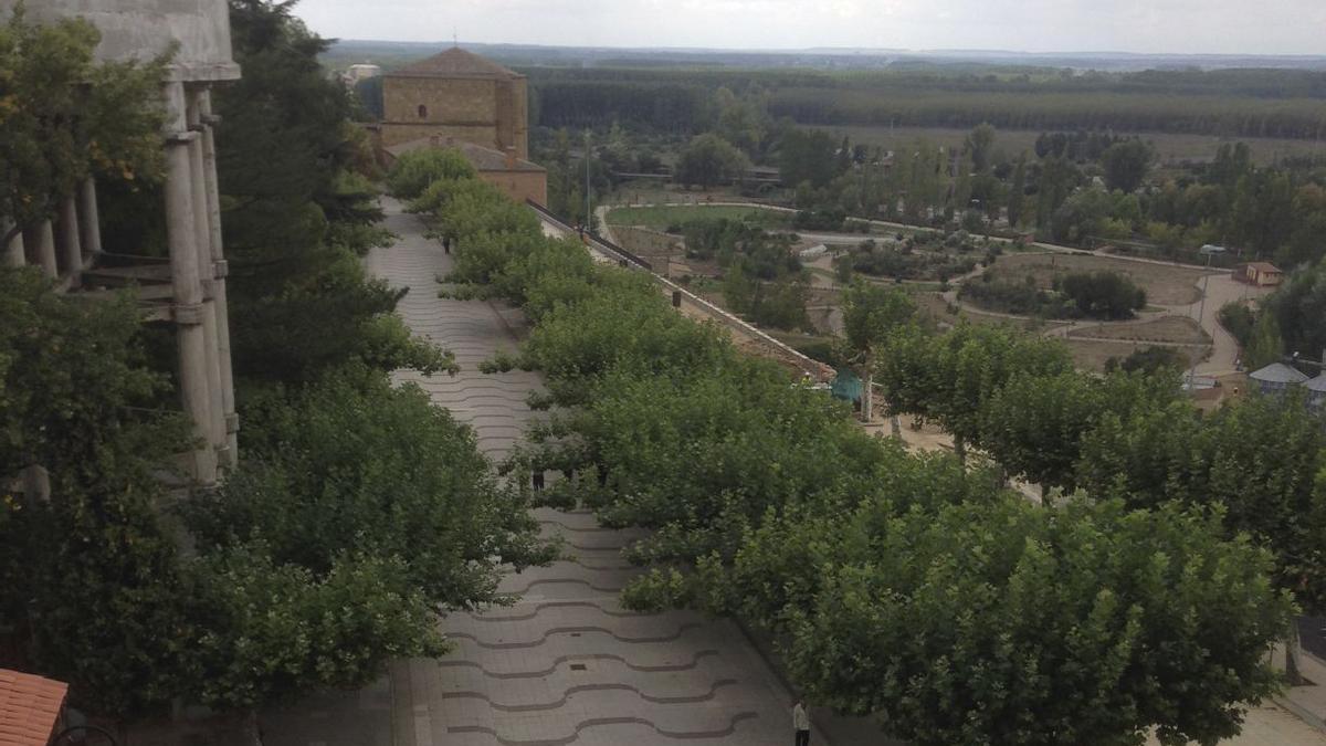 Una vista del paseo central de la Mota y del Prado de las Pavas.