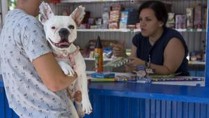 Un dueño en una tienda de petardos, con su perro en brazos