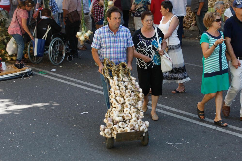 San Pedro 2016: Feria del Ajo