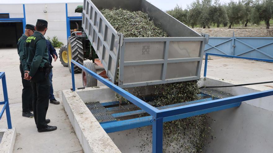 La Guardia Civil detiene en Córdoba a 9 personas por robar 2.000 kilos de naranjas y 1.500 de aceitunas