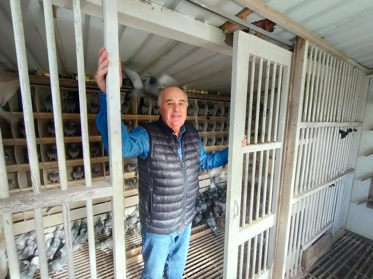 El compostelano de las mil palomas mensajeras: "Solté una en Barcelona y regresó a Santiago"