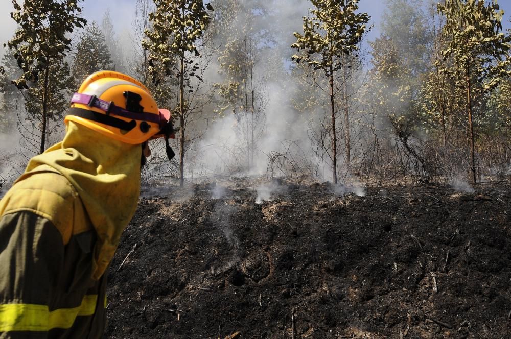 Incendios en Galicia | El fuego se reaviva en Nava