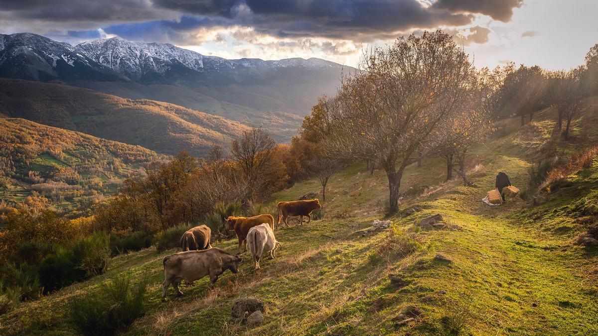 El Otoño Mágico aspira a Fiesta de Interés Turístico Internacional.