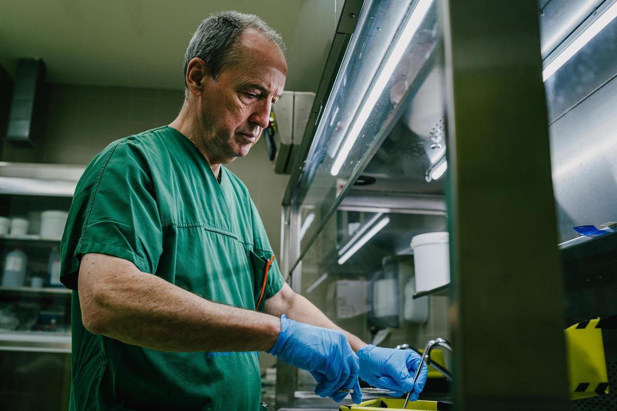Fernando Serrulla examina una muestra.