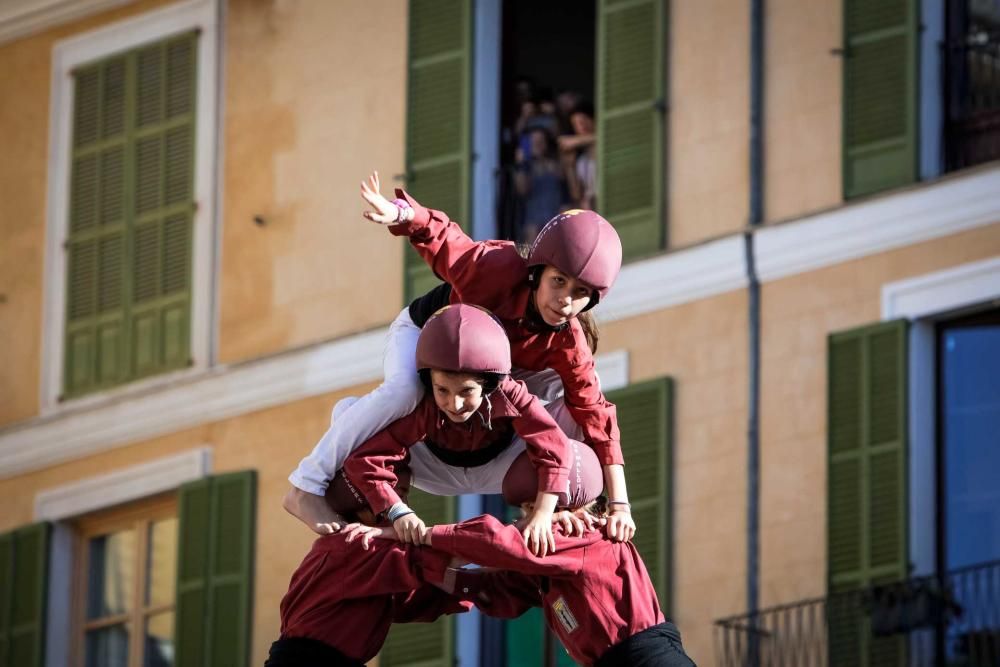 Diada per la Llengua