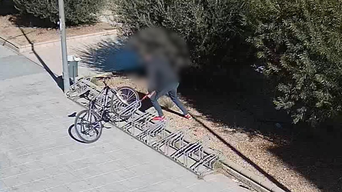 El detenido en plena acción cortando la cadena de una bici con una cizalla.